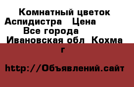 Комнатный цветок Аспидистра › Цена ­ 150 - Все города  »    . Ивановская обл.,Кохма г.